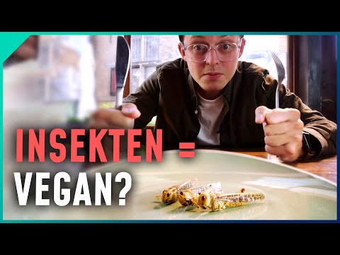 Youtube: Empfinden Insekten Schmerzen?