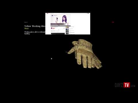 Youtube: DayZ Handjob Gloves:  Order Today!
