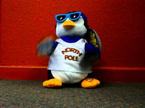 Youtube: HipHop Pinguïn
