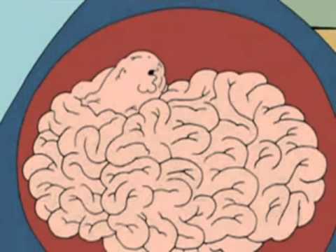 Youtube: Family Guy Tumor