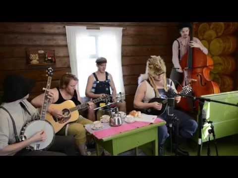 Youtube: Seek And Destroy by Steve'n'Seagulls (LIVE)