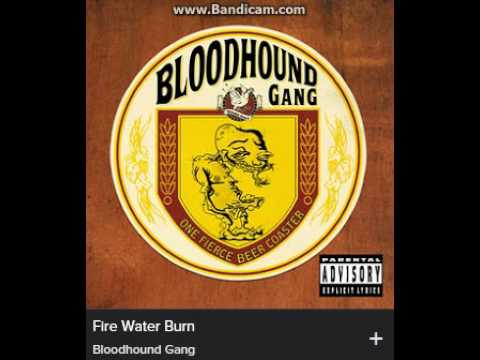 Youtube: Bloodhound Gang - Fire water burn (explicit)