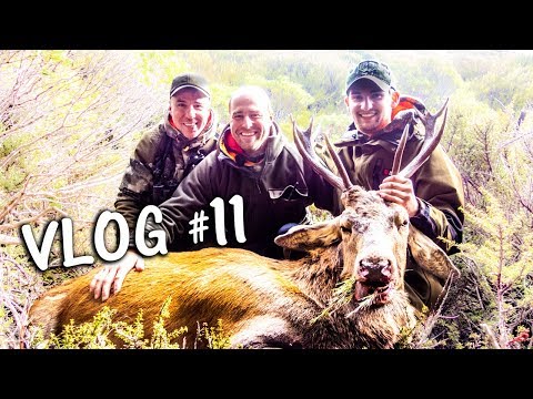 Youtube: Hirschfieber | HUNTING VLOG 11 - JAGD TOTAL