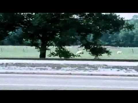 Youtube: Kraftwerk - Autobahn (Official Music Video) HD