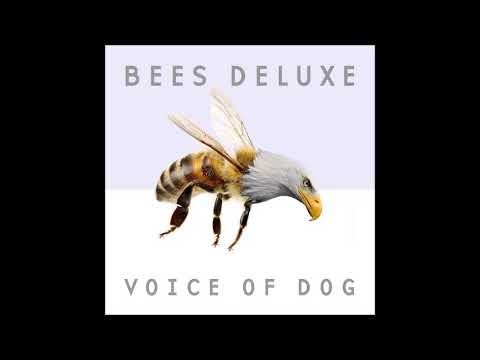 Youtube: Bees Deluxe2018-Song No  9