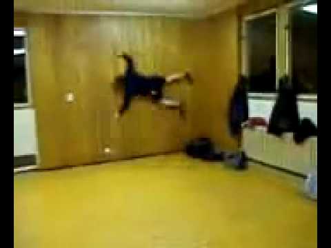 Youtube: Dummer Junge rennt gegen eine wand