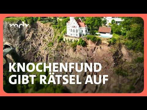 Youtube: Menschlicher Knochen von vermisster Dresdnerin gefunden | Kripo live | MDR