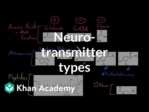 Youtube: Types of neurotransmitters | Nervous system physiology | NCLEX-RN | Khan Academy