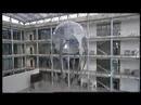 Youtube: Festo AirJelly