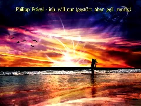 Youtube: Philipp Poisel Ich will nur gestört aber geil remix