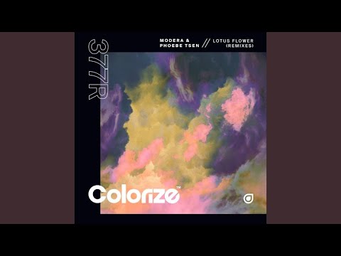 Youtube: Lotus Flower (djimboh Extended Remix)