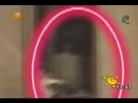 Youtube: Geisterkind 2mal gesichtet
