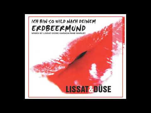 Youtube: Lissat & Düse - Ich bin so wild nach deinem Erdbeermund (Lissat & Düse Mix)