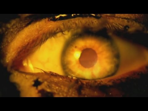 Youtube: SLAYER - Eyes of The Insane (OFFICIAL MUSIC VIDEO)
