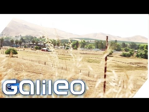 Youtube: Dürre in Kalifornien | Galileo | ProSieben