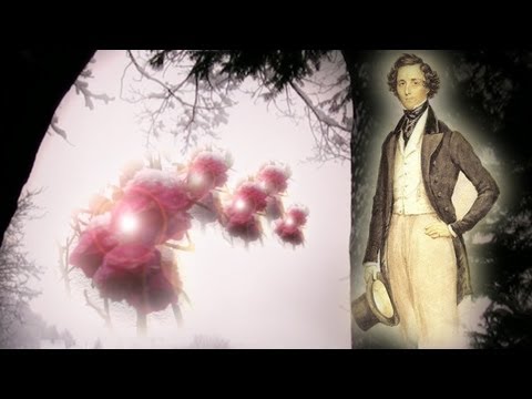 Youtube: Hochzeitsmarsch Wedding March (Felix Mendelssohn Bartholdy) Ein Sommernachtstraum-Op.61