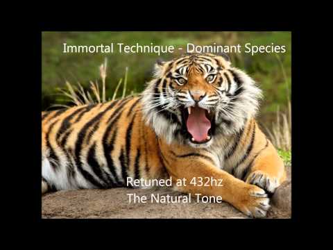 Youtube: Immortal Technique - Dominant Species 432 hz
