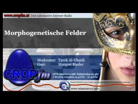Youtube: Morphogenetische Felder nach Prof. Dr. Rupert Sheldrake | CropFM 3/5