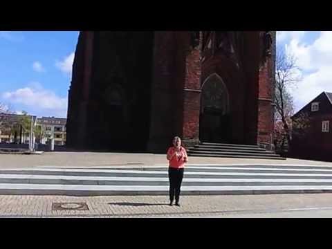 Youtube: Bremerhaven 19.4.14 - der Ein-Frau-Ostermarsch