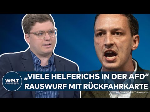 Youtube: PARTEI-AUSSCHLUSSVERFAHREN: „Es gibt viele Helferichs in der AfD“ | Antisemitismus und NS-Bezüge
