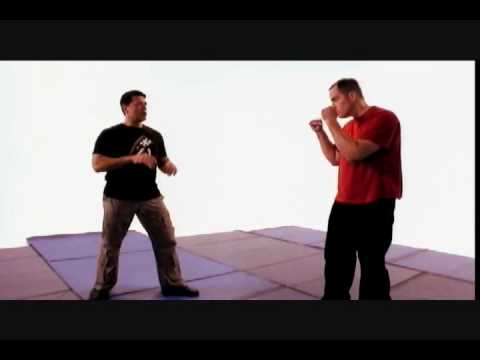 Youtube: Roundhouse punch vs. Krav Maga