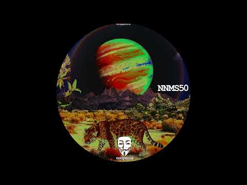 Youtube: Unknown Artist - Exotic Hunter [NNMS0]