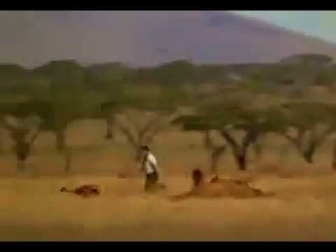 Youtube: Mann rettet Antilope vor Gepard
