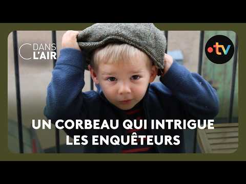 Youtube: Affaire Émile Soleil : enquête et révélations