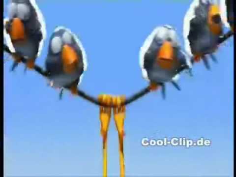 Youtube: Vögel auf Strommast