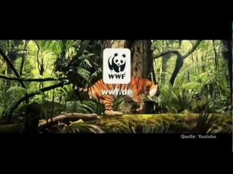 Youtube: Wilfried Huismann: Schwarzbuch WWF. Dunkle Geschäfte im Zeichen des Panda.