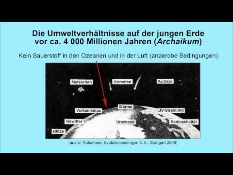 Youtube: Video 4 - Was ist Lebensentstehung? [Tatsache Evolution - Was Darwin nicht wissen konnte]