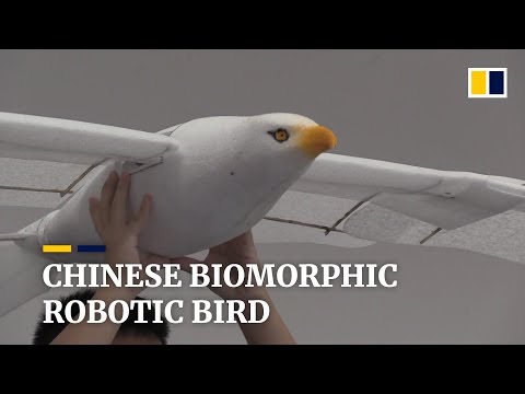 Youtube: Chinese biomorphic robotic bird
