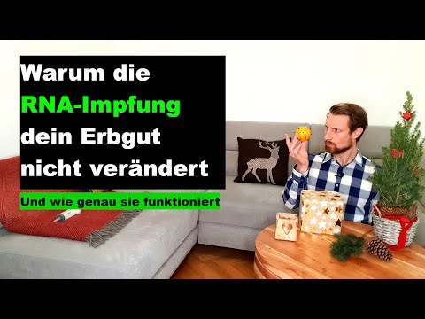 Youtube: Warum die RNA-Impfung dein Erbgut nicht verändert