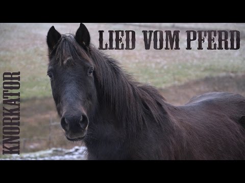 Youtube: Das Lied vom Pferd - Knorkator