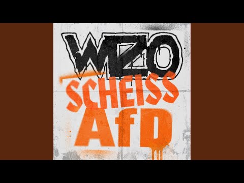Youtube: Scheiss AfD