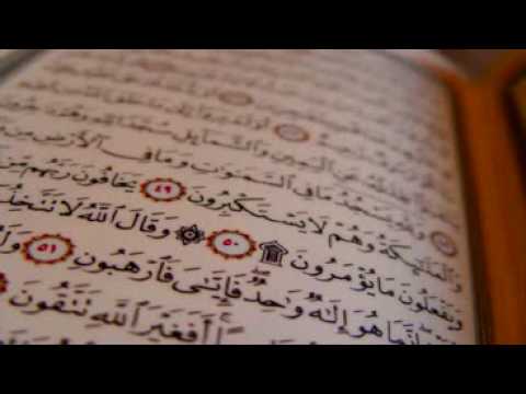 Youtube: Muhammad A.S.S  und Banu Quraiza Juden von A bis Z 2/2