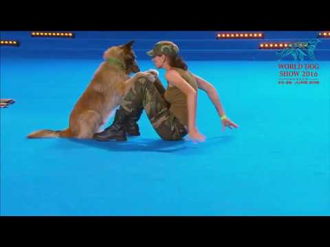 Youtube: FCI Dog dance World Championship 2016 – Freestyle final  - Lusy Imbergerova and Deril (Italy)