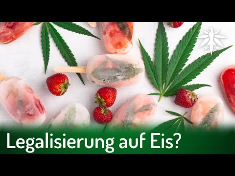 Youtube: Legalisierung auf Eis? | DHV-News # 322