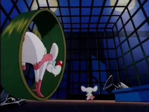 Youtube: Pinky & Brain German Intro