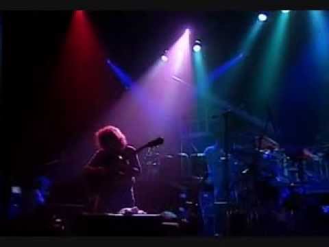 Youtube: Pat Metheny Group - To the End of the World (Live)
