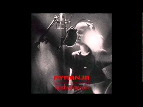 Youtube: Pyranja - Nachtflug (Roey Marquis II. rmx)