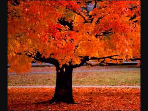 Youtube: Four Seasons ~ Vivaldi