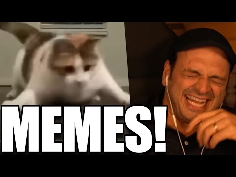 Youtube: Kaya reagiert auf UNUSUAL MEMES