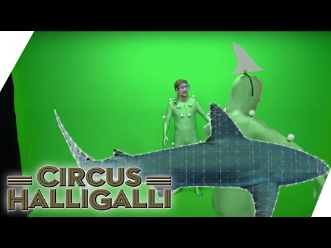 Youtube: Ist bei Circus HalliGalli alles Fake? - Der mündige Zuschauer