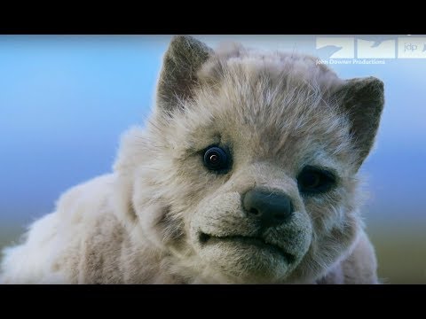 Youtube: Robotic Wolf Cub Gets Taken By Mother Wolf