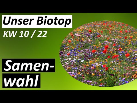 Youtube: Samenwahl - #Biotop - KW 10 / 2022
