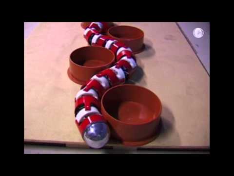 Youtube: Snake Robots at NTNU and SINTEF