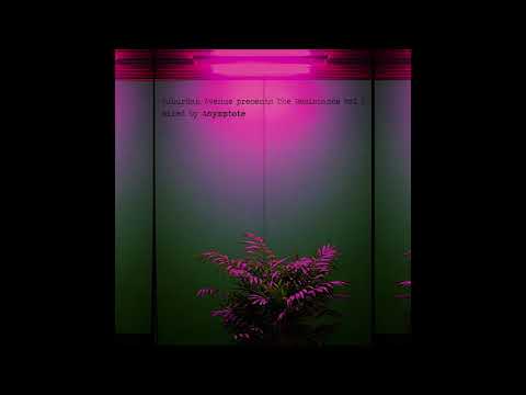 Youtube: 2030 - Surface Waves [TR01]