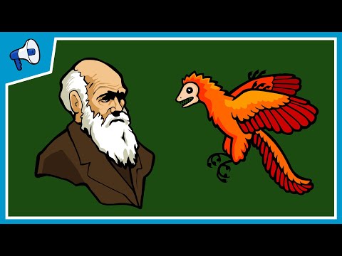 Youtube: What is Evolution?