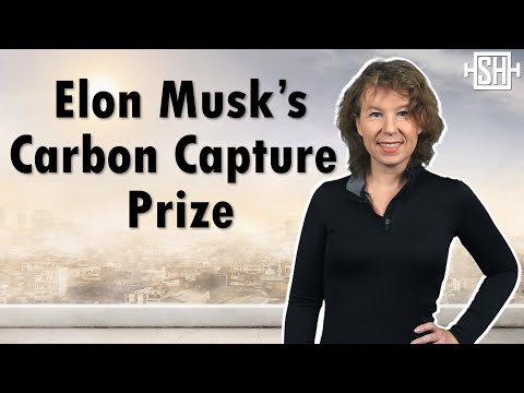 Youtube: Carbon Capture: All You Need To Know